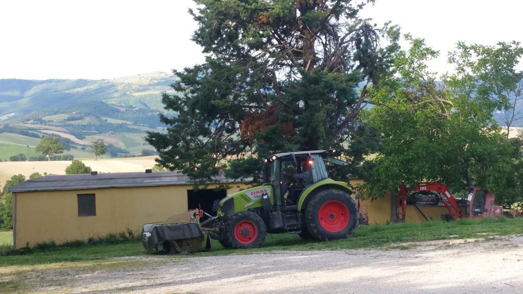 Pietra Maula Agriturismo Castelraimondo Eksteriør bilde