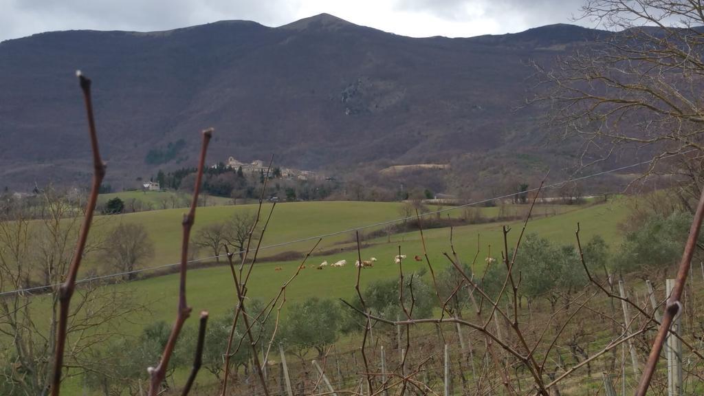 Pietra Maula Agriturismo Castelraimondo Eksteriør bilde