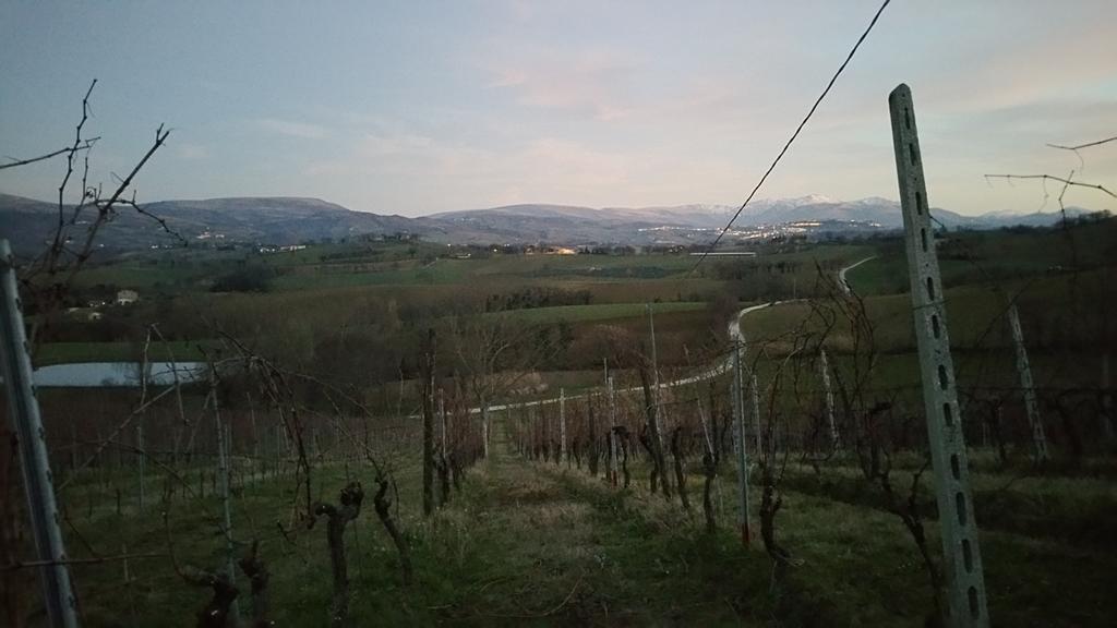 Pietra Maula Agriturismo Castelraimondo Eksteriør bilde