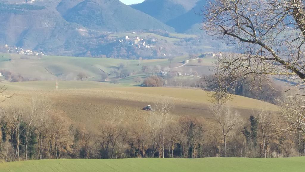 Pietra Maula Agriturismo Castelraimondo Eksteriør bilde