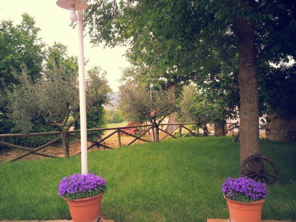 Pietra Maula Agriturismo Castelraimondo Eksteriør bilde
